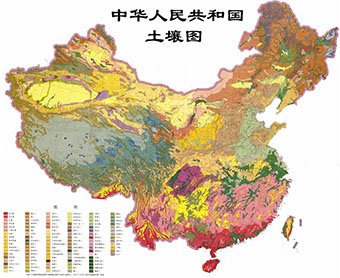 中国土壤图